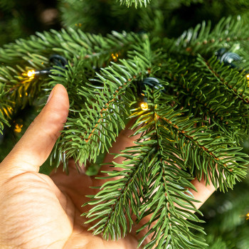 Colorado LED Nordmann 230cm 3D Artificial Christmas Tree with Lights