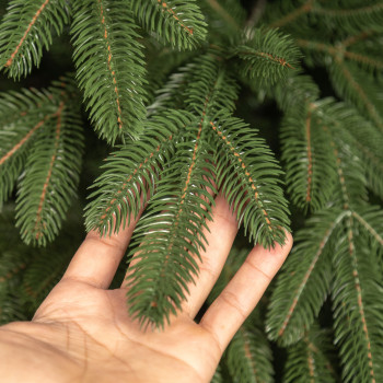 Everest Spruce 210cm 3D Artificial Christmas Tree