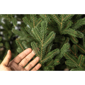 Himlaya PiceaAbies 180 cm Pom de Crăciun artificial 3D